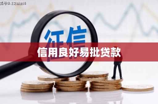 苍梧信用良好易批贷款