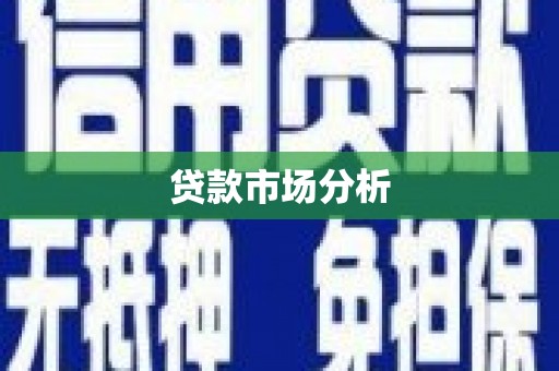 苍梧贷款市场分析