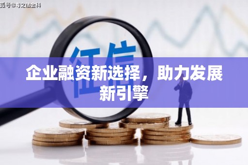 苍梧企业融资新选择，助力发展新引擎