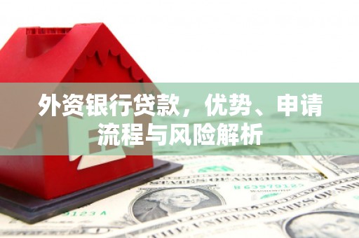 苍梧外资银行贷款，优势、申请流程与风险解析