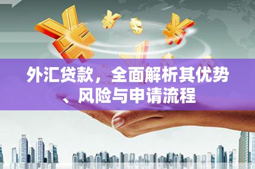 苍梧外汇贷款，全面解析其优势、风险与申请流程