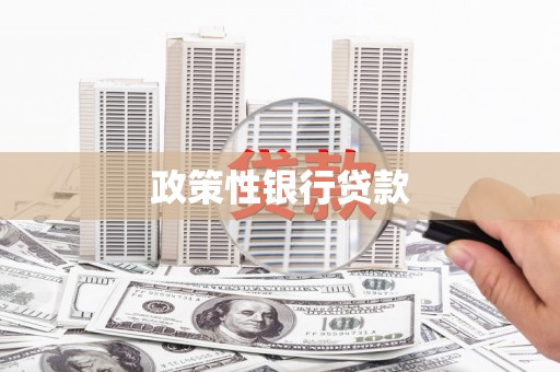 苍梧政策性银行贷款