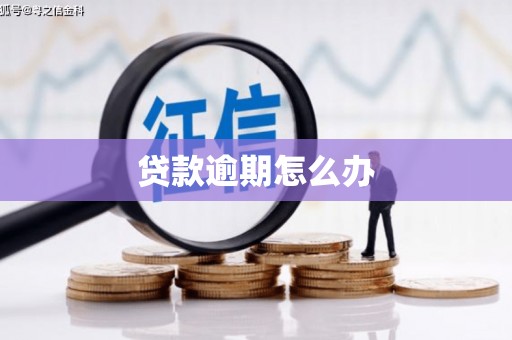 苍梧贷款逾期怎么办