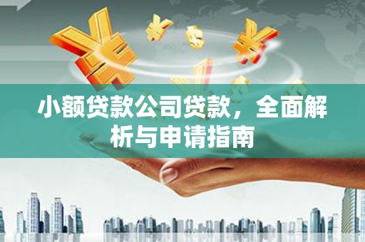 苍梧小额贷款公司贷款，全面解析与申请指南