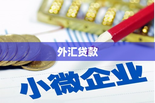 苍梧外汇贷款