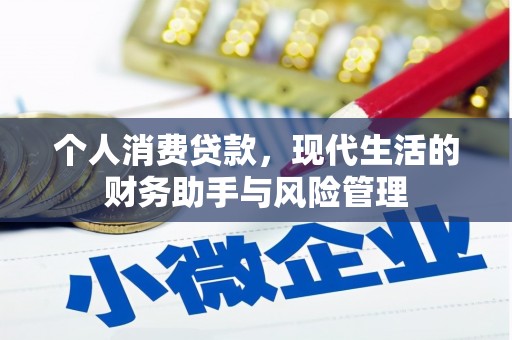 苍梧个人消费贷款，现代生活的财务助手与风险管理