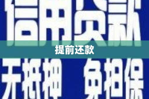 苍梧提前还款