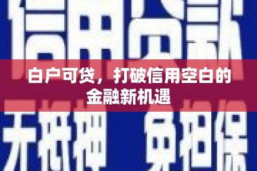 苍梧白户可贷，打破信用空白的金融新机遇