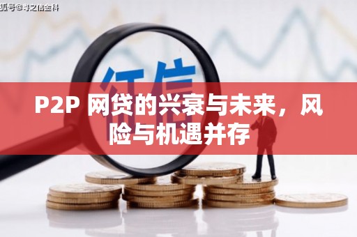 苍梧P2P 网贷的兴衰与未来，风险与机遇并存