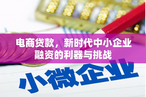 苍梧电商贷款，新时代中小企业融资的利器与挑战