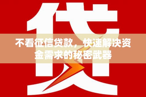 苍梧不看征信贷款，快速解决资金需求的秘密武器