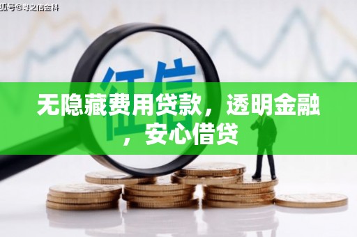 苍梧无隐藏费用贷款，透明金融，安心借贷