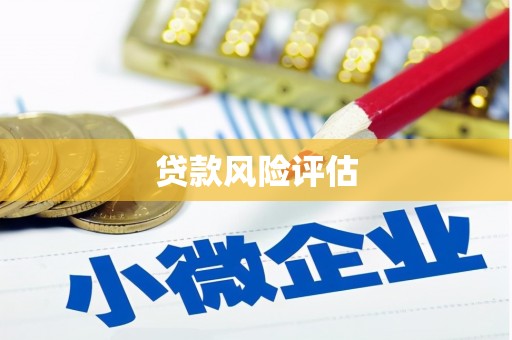 苍梧贷款风险评估