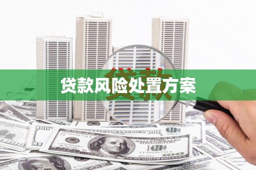 苍梧贷款风险处置方案