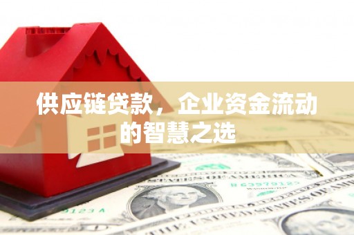 苍梧供应链贷款，企业资金流动的智慧之选