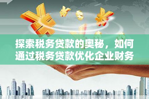 苍梧探索税务贷款的奥秘，如何通过税务贷款优化企业财务