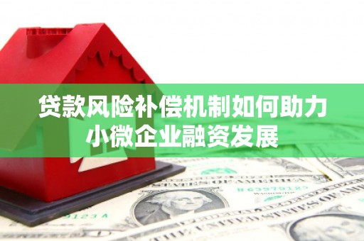 苍梧贷款风险补偿机制如何助力小微企业融资发展