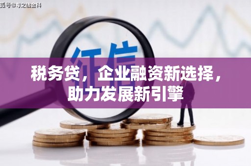 苍梧税务贷，企业融资新选择，助力发展新引擎
