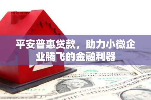 苍梧平安普惠贷款，助力小微企业腾飞的金融利器