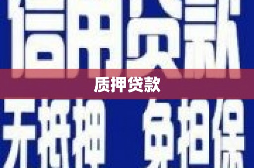 苍梧质押贷款