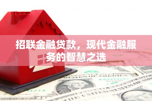 苍梧招联金融贷款，现代金融服务的智慧之选