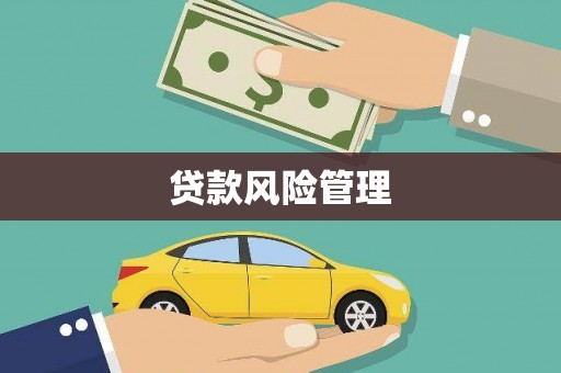 苍梧贷款风险管理
