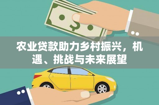苍梧农业贷款助力乡村振兴，机遇、挑战与未来展望