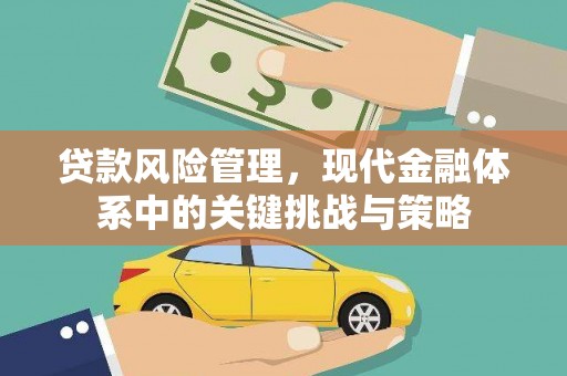 苍梧贷款风险管理，现代金融体系中的关键挑战与策略