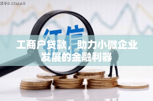 苍梧工商户贷款，助力小微企业发展的金融利器