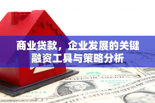 苍梧商业贷款，企业发展的关键融资工具与策略分析