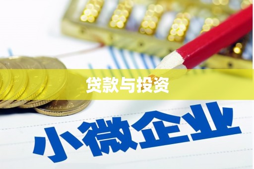 苍梧贷款与投资