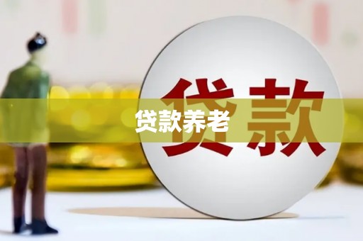 苍梧贷款养老