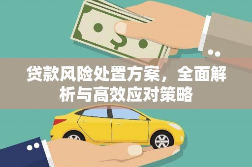 苍梧贷款风险处置方案，全面解析与高效应对策略