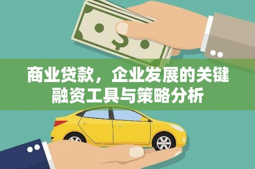 苍梧商业贷款，企业发展的关键融资工具与策略分析