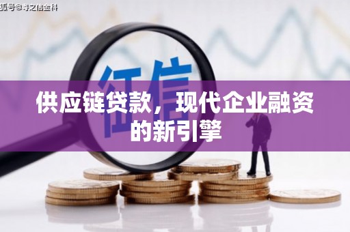苍梧供应链贷款，现代企业融资的新引擎