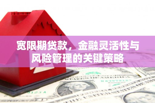 苍梧宽限期贷款，金融灵活性与风险管理的关键策略