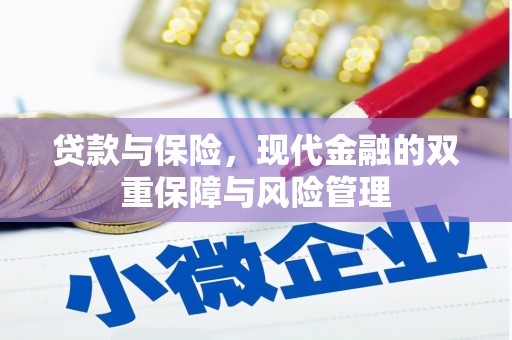 苍梧贷款与保险，现代金融的双重保障与风险管理