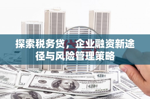 苍梧探索税务贷，企业融资新途径与风险管理策略