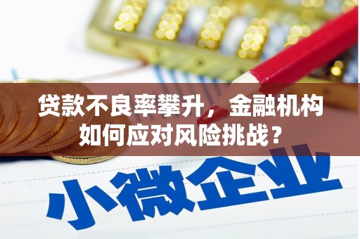 苍梧贷款不良率攀升，金融机构如何应对风险挑战？