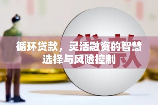 苍梧循环贷款，灵活融资的智慧选择与风险控制
