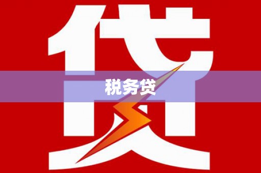 苍梧税务贷