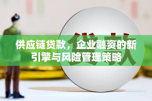 苍梧供应链贷款，企业融资的新引擎与风险管理策略