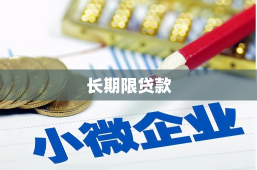 苍梧长期限贷款