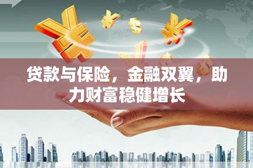 苍梧贷款与保险，金融双翼，助力财富稳健增长