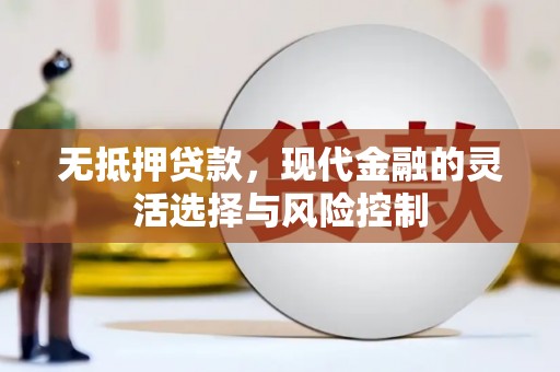 苍梧无抵押贷款，现代金融的灵活选择与风险控制