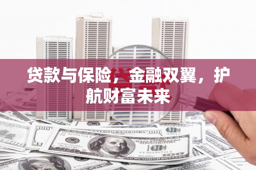 苍梧贷款与保险，金融双翼，护航财富未来