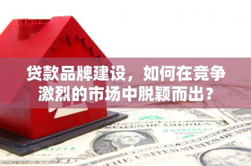 苍梧贷款品牌建设，如何在竞争激烈的市场中脱颖而出？