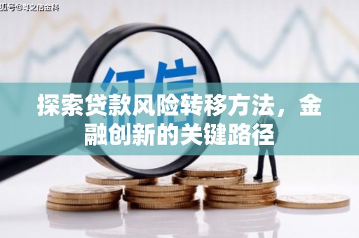 苍梧探索贷款风险转移方法，金融创新的关键路径