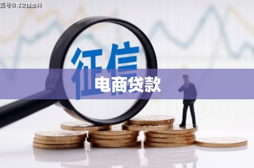 苍梧电商贷款