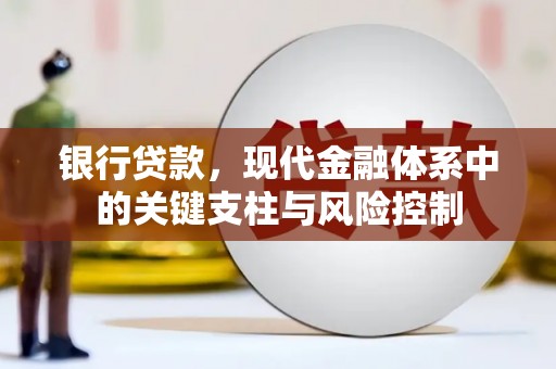 苍梧银行贷款，现代金融体系中的关键支柱与风险控制